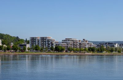 Svanegangen langs elvepromenaden i Drammen